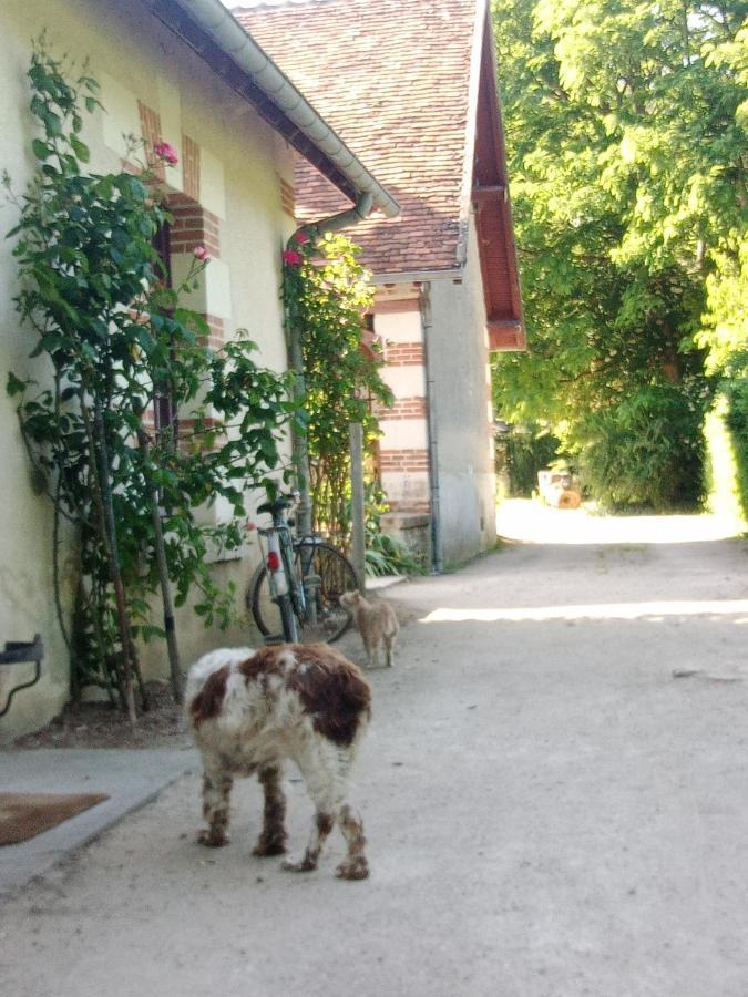 Cottages Et B&B De Troussay Cheverny Luaran gambar