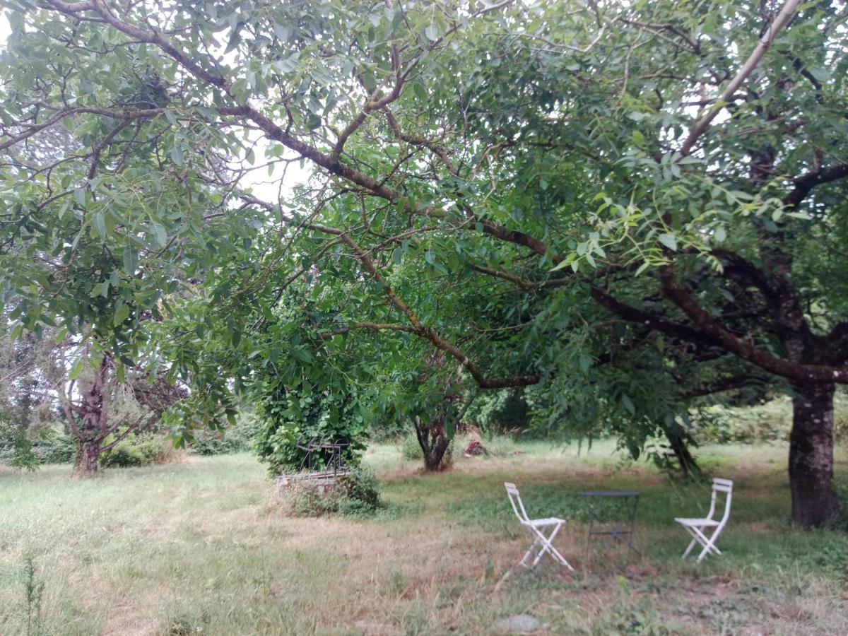 Cottages Et B&B De Troussay Cheverny Luaran gambar